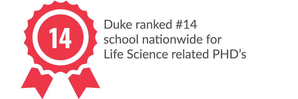 #14 school nationwide